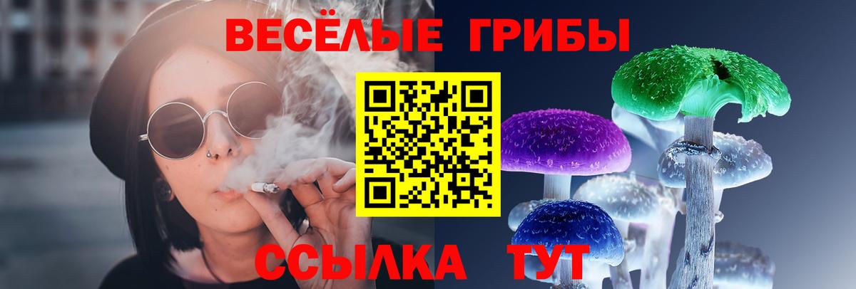 Великий Устюг  Псилоцибиновые грибы MAGIC MUSHROOMS  Вход с VPN 
